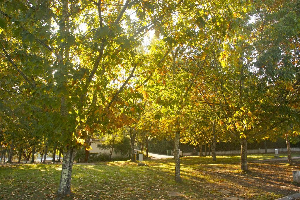 Gois Camping Εξωτερικό φωτογραφία
